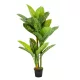 Élethű cserepes dieffenbachia  150cm