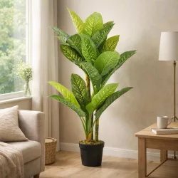Élethű cserepes dieffenbachia  150cm