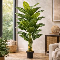 Élethű cserepes dieffenbachia 175cm