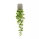 Selyem Philodendron futó 90 cm