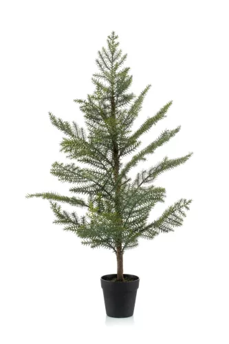 Araucaria/Szobafenyő/gumi, 95 cm