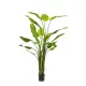 Élethű cserepes strelitzia műnövény (papagájvirág) extra magas 235 cm