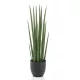 Élethű cserepes sansavera  cylindrica 70cm