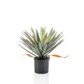 Élethű gumi Yucca 48 cm kaspóban