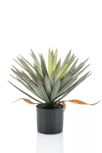 Élethű gumi Yucca 48 cm kaspóban