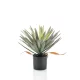 Élethű gumi Yucca 48 cm kaspóban