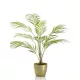Élethű cserepes Chamaedora pálma 85cm 