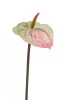 Anthurium/Flamingóvirág/ gumi, zöld/pink 65 cm