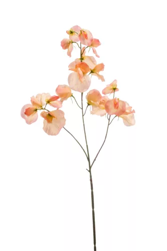Selyem Lathyrus/Lednek /3 szálas barack 75 cm