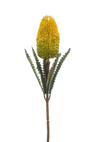 Banksia szálas /gumi/sárga 72 cm