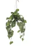 Cserepes Anthoryum levé/lFlamingó,selyem/80 cm