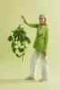 Cserepes Philodendron /Futó, selyem/ 80 cm
