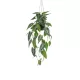 Selyem cserepes Alocasia/Elefántfül/ 80 cm