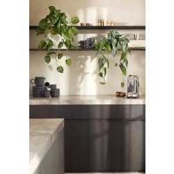 Selyem cserepes Alocasia/Elefántfül/ 80 cm