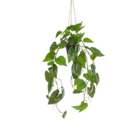 Selyem Philodendron futó,műanyag kaspóban,80cm.
