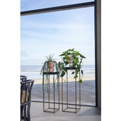 Selyem Philodendron futó,műanyag kaspóban,80cm.