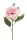 Selyem Peonia szálas halványrózsaszín 66 cm