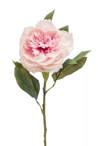 Selyem Peonia szálas halványrózsaszín 66 cm