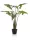 Élethű Alocasia frydek műnövény 120 cm – cserépben