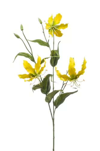 Élethű koronásliliom ág sárga 90cm (Gloriosa)