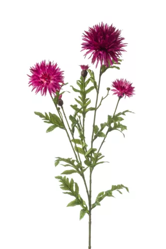 Élethű szálas búzavirág fuchsia színű 100cm