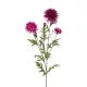 Élethű szálas búzavirág fuchsia színű 100cm