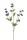 Élethű aquilegia szálas 3 ágú kék 73cm
