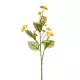 Élethű  szálas kamilla sárga 60cm