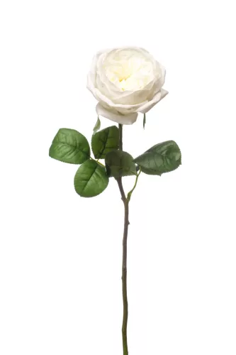 Élethű szálas rózsa fehér 48cm
