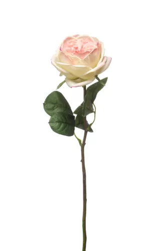 Élethű szálas rózsa fehér/rózsaszín 48cm