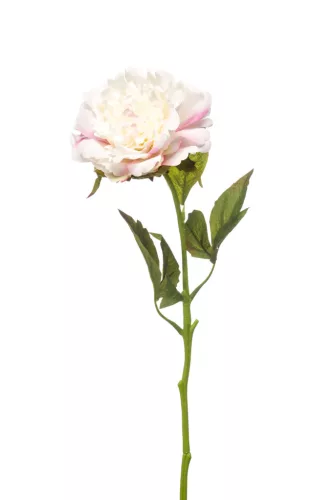 Élethű szálas peonia fehér 56cm