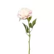 Élethű szálas peonia fehér 56cm