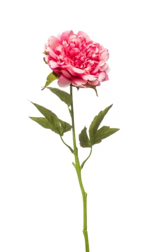 Élethű szálas peonia rózsaszín 56cm