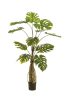 Élethű cserepes műnövény két törzsű monstera pálma 150 cm