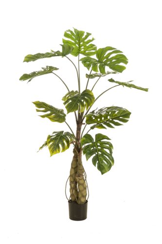 Élethű cserepes műnövény két törzsű monstera pálma 150 cm