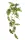 Élethű csüngős Philodendron 90cm