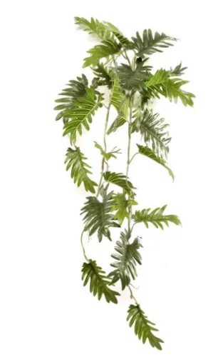 Élethű csüngős Philodendron 90cm