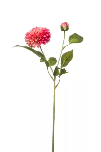 Élethű dália 2 ágú 60cm - pink
