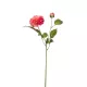 Élethű dália 2 ágú 60cm - pink