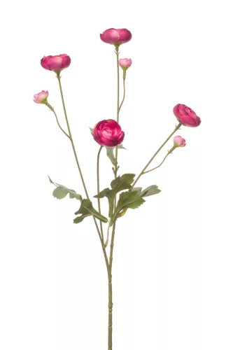 Élethű szálas mini boglárka 66cm - fuchsia
