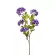 Élethű viburnum (bangita) szálas lila 88cm