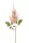 Élethű szálas Astilbe  barack  65cm