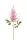 Élethű szálas Astilbe  pink 65cm