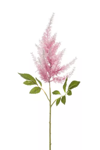 Élethű szálas Astilbe  pink 65cm