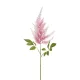 Élethű szálas Astilbe  pink 65cm