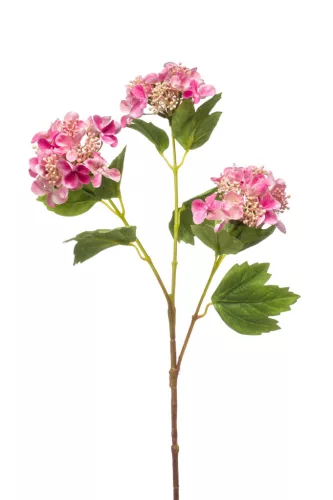 Élethű viburnum (bangita) szálas 3 ágú rózsaszín 82cm