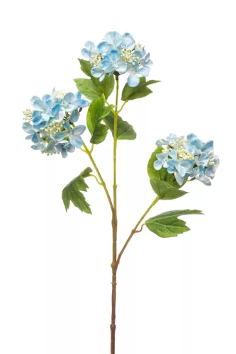 Élethű viburnum (bangita) szálas 3 ágú kék 82cm