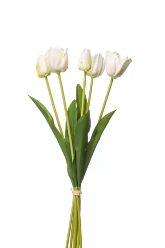 Élethű tulipán csokor 5 szálas  - fehér/zöld