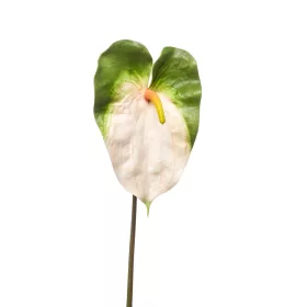 Élethű szálas flamingó krém/zöld 70cm