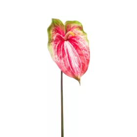 Élethű szálas flamingó fuchsia 70cm